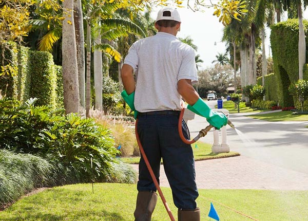 About Julian PA Pest Control